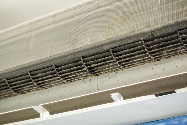 Best Air Duct Cleaning Near Me  in Suamico, WI