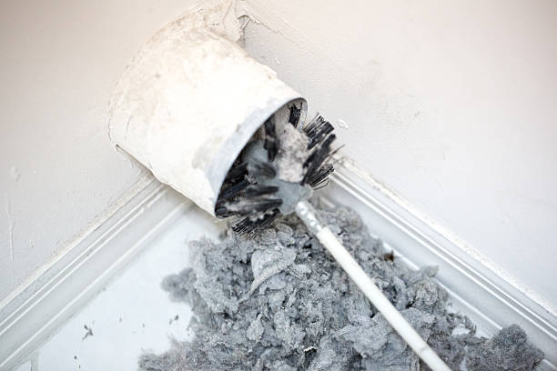 Best Local Air Duct Cleaning Services  in Suamico, WI